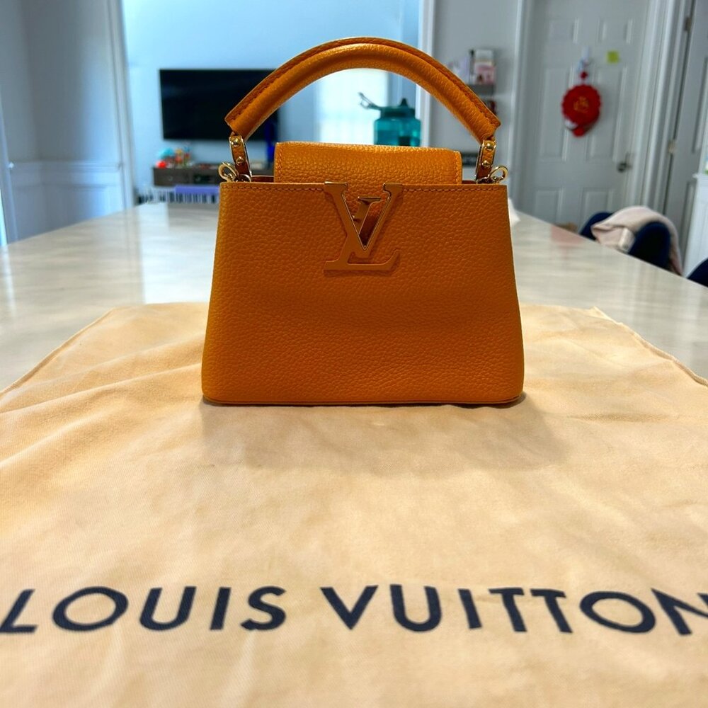 Louis Vuitton Braided Chain Capucines Bag Taurillon Leather Mini